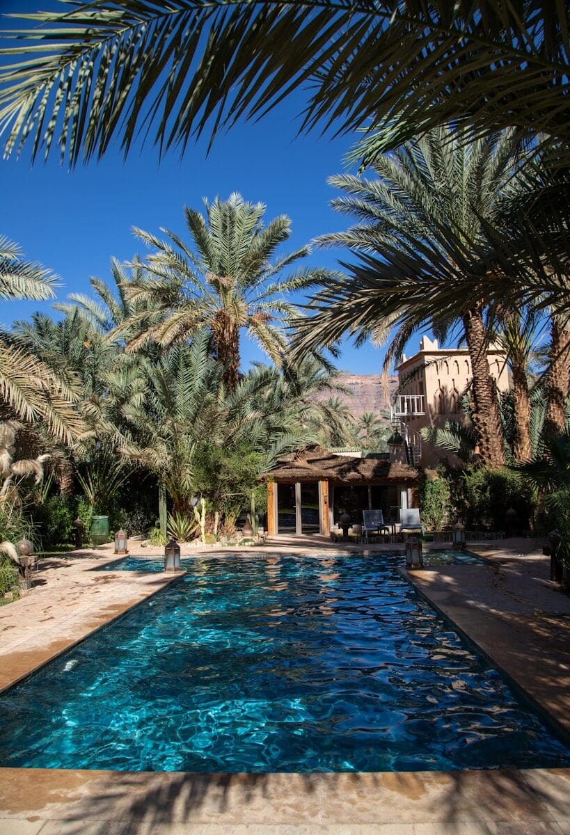 A tranquil swimming pool surrounded by palm trees